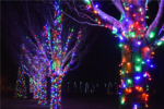 Thumbnail for the post titled: Christmas In the Park opens at Spencer Park Nov. 25, 2022